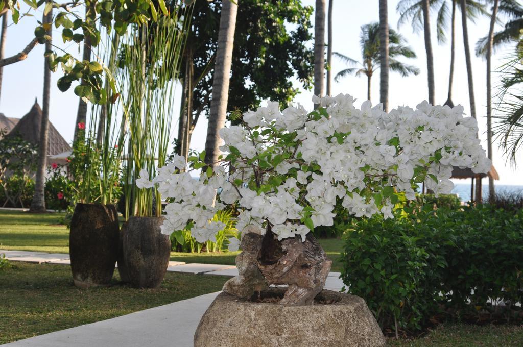 The Chandi Boutique Resort&spa 4*